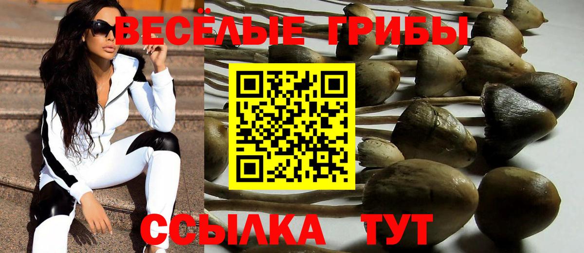 Галлюциногенные грибы GOLDEN TEACHER Лесозаводск