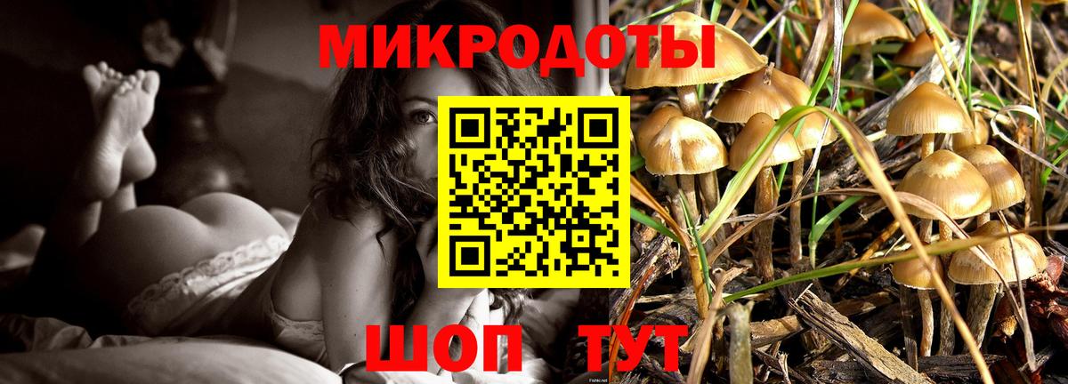 Лесозаводск  Псилоцибиновые грибы Psilocybine cubensis  цены   Вход с VPN  Галлюциногенные грибы ЛСД 